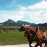 Faistenau *