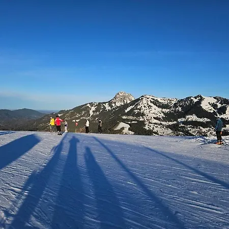 Hébergement de vacances Faistenau *