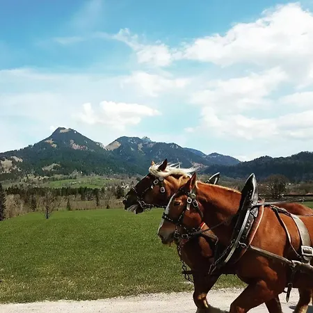 Faistenau *