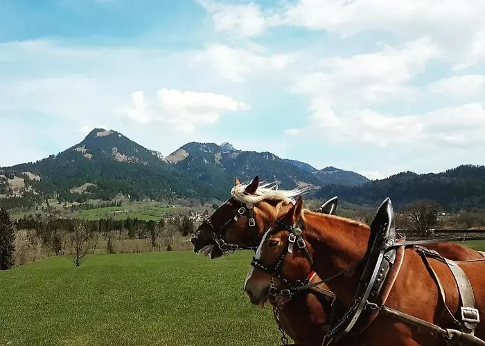 Faistenau *